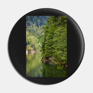 Lake and pine trees Pin