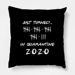 Just Turned 23 In Quarantine Humor Birthday Pillow