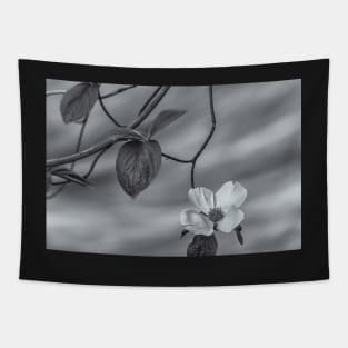 blooming dogwood bw Tapestry