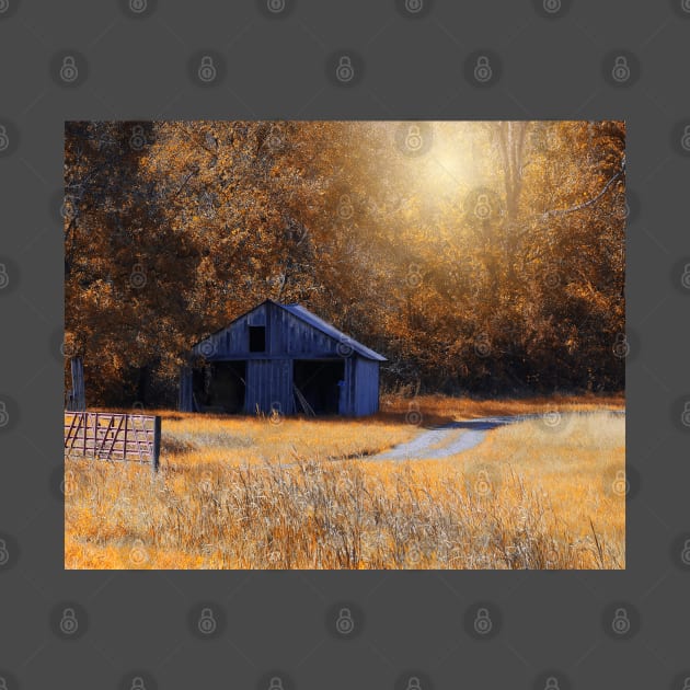 Old Barn in the Fall by shanestillz