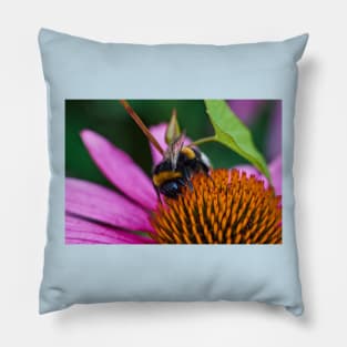 Bumble bee Pillow