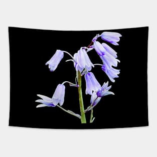 English Bluebell Flowers Tapestry