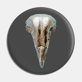 Metal model of a Barn Owl Skull Pin