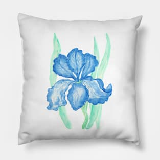 Blue iris Pillow