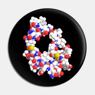 Insulin Molecule Chemistry Pin