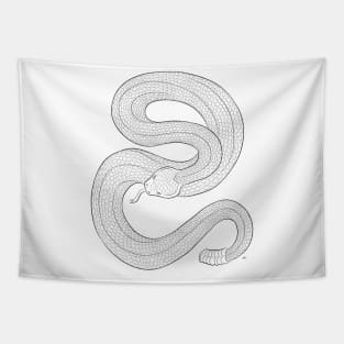 Rattlesnake Drawing Tapestry