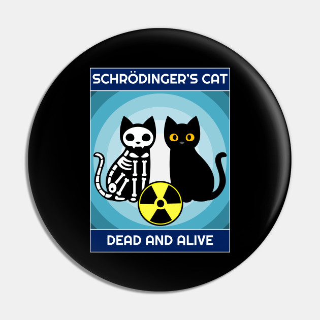 Pin by Schrödinger on Best kitty-boy since 1944