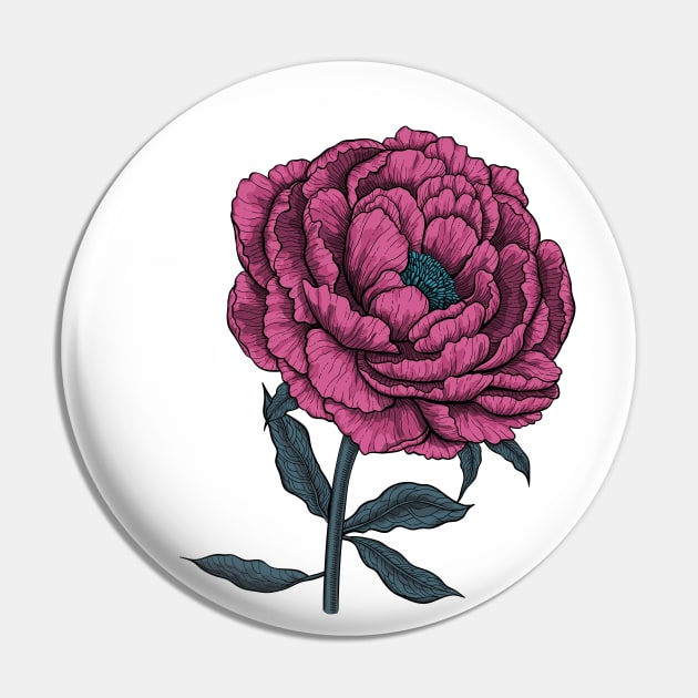 Peony drawing 3 Pin by katerinamk