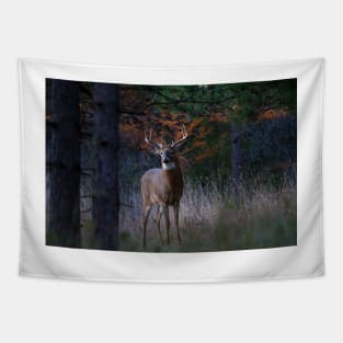 White-tailed Buck Tapestry