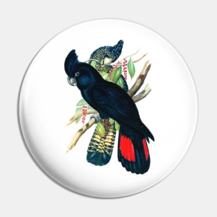 Black Cockatoo Pin