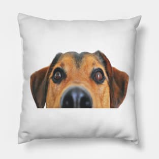 happy puppy lookinng funny Pillow