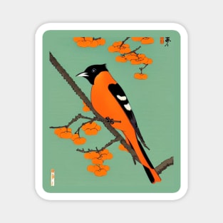 Orchard Oriole Bird and the Baltimore Oriole Magnet