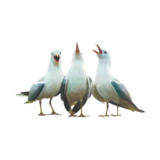 Trio of squawking seagulls. Beach theme decor, original artwork. Unique gift. T-Shirt