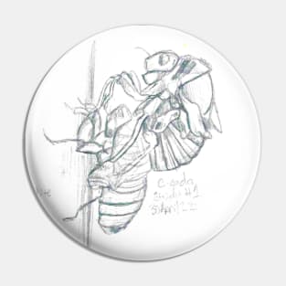 Graphite Cicada Pin