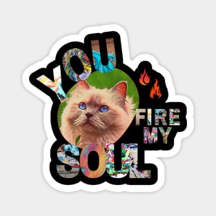 You Fire My Soul Cat Magnet