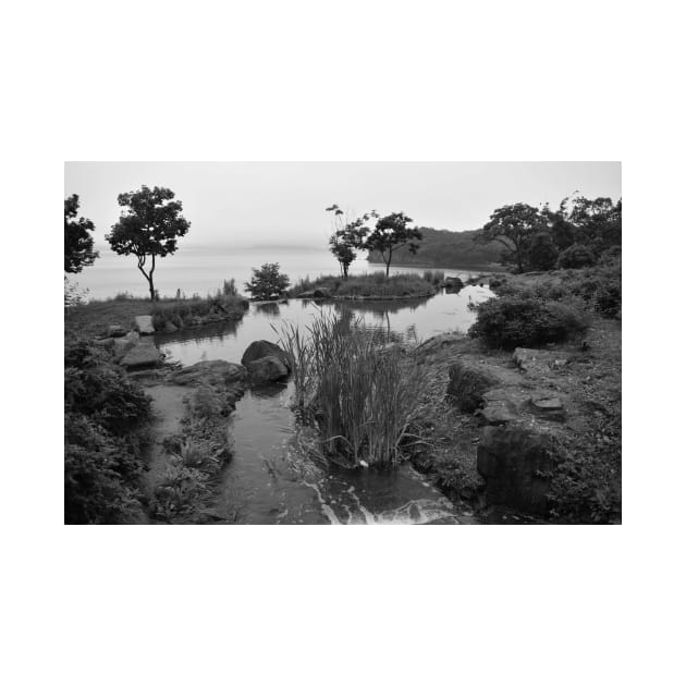 A Pond on Campus of Far East Federal University, Vladivostok, Russia by IgorPozdnyakov