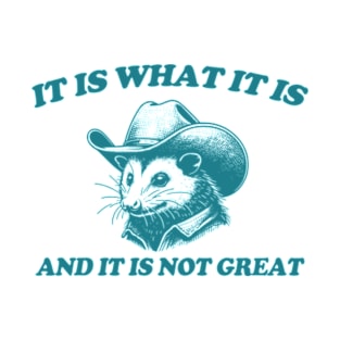 It Is What It Is And It Is Not Great Funny Possum T-Shirt