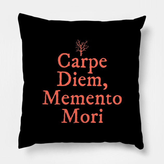 Seize the day Pillow by The Inspiration Nexus