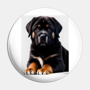 Tibetan Mastiff Puppy 04 Pin