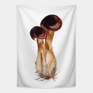 Boletus edulis Tapestry