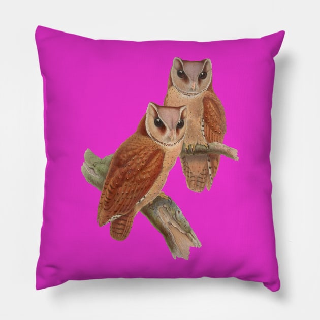 Pair of Owls Painting Pillow by PatrioTEEism