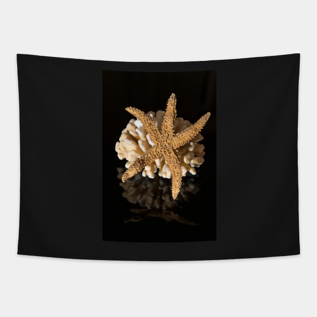 Corals and sea star on black reflective background Tapestry by NxtArt