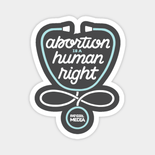Abortion is a Human Right (lighter design) Magnet