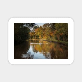 Autumn on the Shropshire Union Canal Magnet