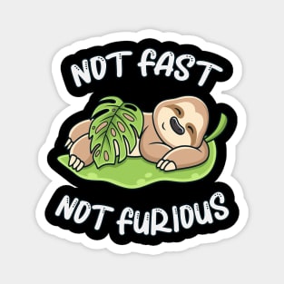 Cute Sloth Sleeping Not Fast Not Furious Funny Magnet