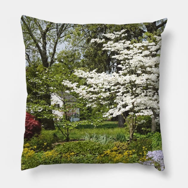 Dogwood in Front of White House Pillow by SusanSavad