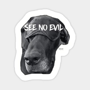 SEE NO EVIL Magnet