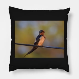 Barn Swallow Pillow