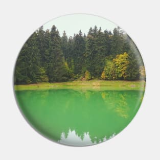 Forest Lake With Reflection In Water Pin