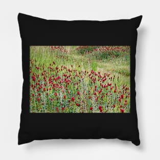 In Red Clover Pillow