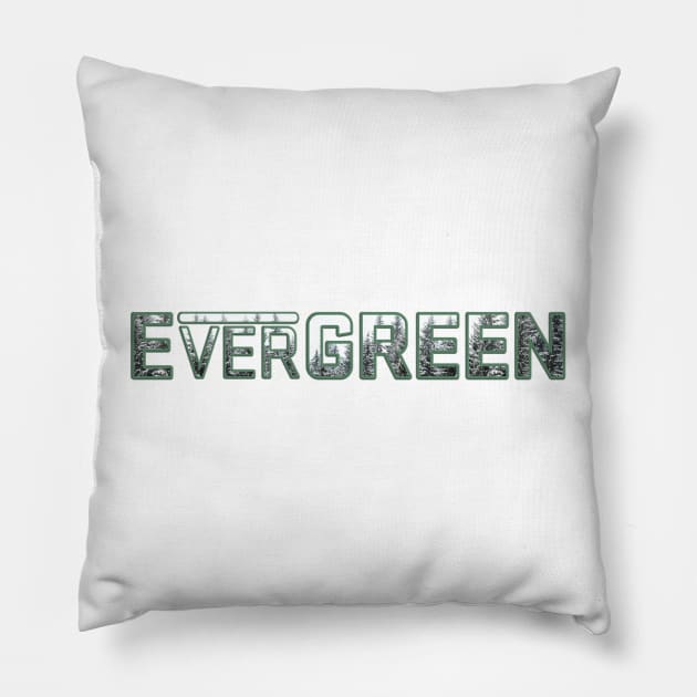 EverGREEN Pillow by LikeABith