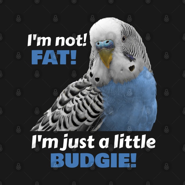 Fat Budgie Blue Parakeet Parrot by Einstein Parrot