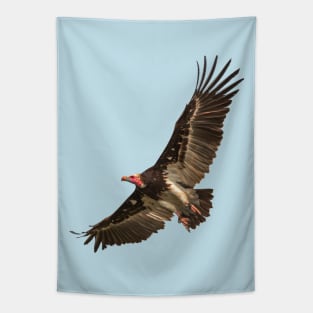 Vulture in flight Tapestry