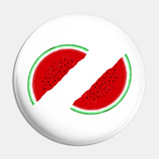 watermelon fruit illustration design Pin