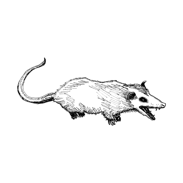 Opossum by ChetWallop