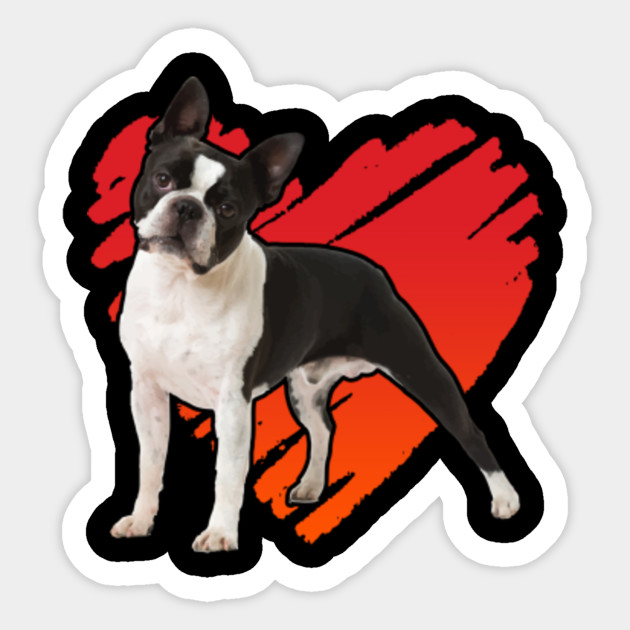 I Love Boston Terrier Funny Heart Valentine Gift I Love Boston Terrier Funny Heart Pegatina Teepublic Mx