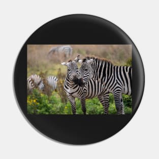 Zebra Affection: Ngorongoro Crater, Tanzania Pin