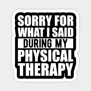 Physical Therapist - Sorry for what I said during my physical therapy w Magnet