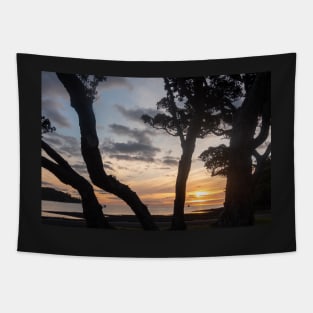 Mulberry Grove Beach Sunset. Tapestry