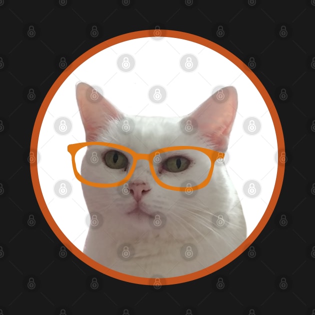 Kitten wearing glasses by DiegoCarvalho