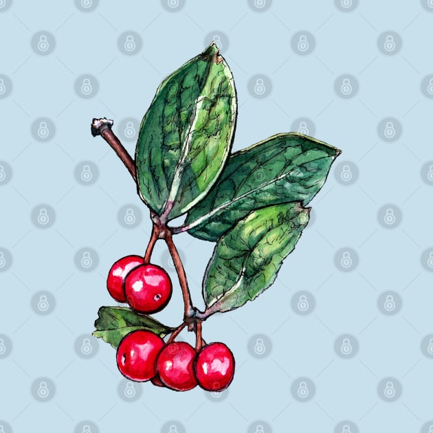 Wild Red Berries by AquarellChill