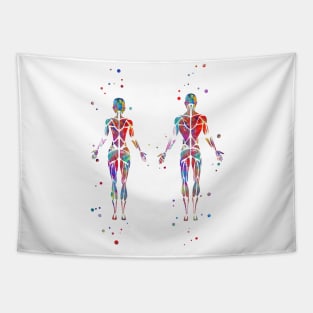 Muscular System Tapestry