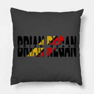 vintage typo Brian Regan Pillow