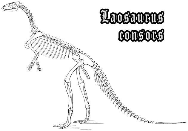 🦖 Fossil Skeleton of Laosaurus consors Dinosaur Species Kids T-Shirt by Pixoplanet