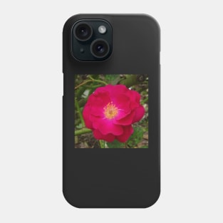 Golden Stamen Rose Phone Case