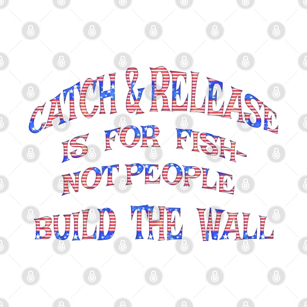 Build Border Wall End Catch & Release by Roly Poly Roundabout